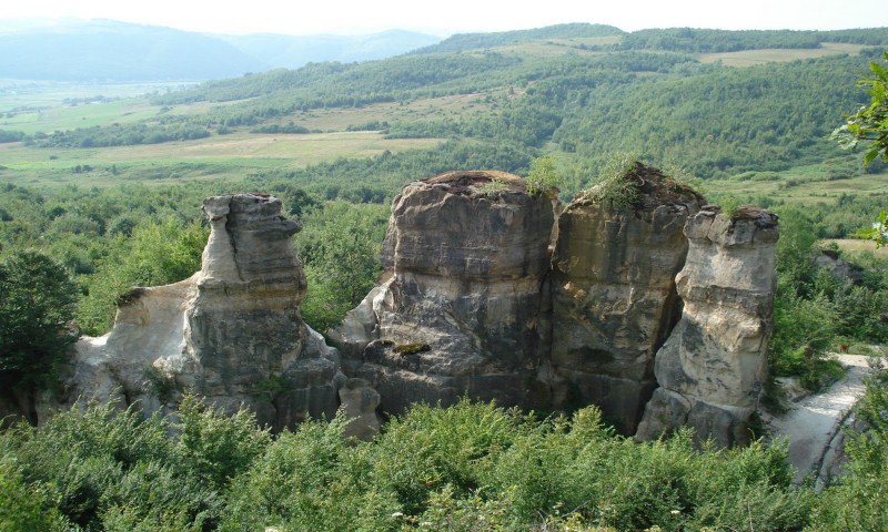 Excursie la Grădina Botanică Jibou Excursie la Grădina Botanică Jibou